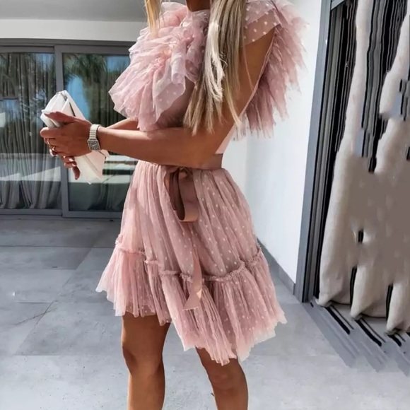 Pink Blush Ruffle Tulle Elegant Pleated Dress - Picture 2 of 16